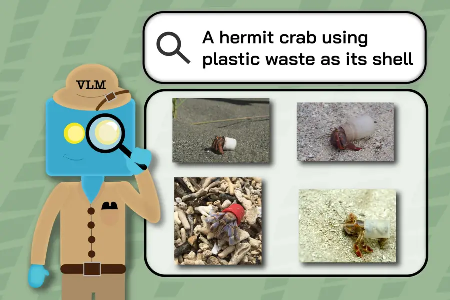 A cartoon character with a blue head and a brown outfit, resembling an ecologist, holds a magnifying glass and stands next to a search icon. Inside the icon are four images of hermit crabs using plastic items as shells. The top images show a crab using a white plastic container and a clear plastic cap, while the bottom images show crabs using a red plastic piece and another white item. The background is green-grid patterned.